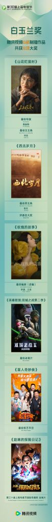【海外华人必見】中国ドラマ『白玉蘭賞』受賞作が見られない？地域制限を解除する簡単テクニック