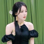海外で見れない中国ドラマをどうやって視聴する？ディリレイバの新作もこれで解決！