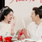 海外華人が中国のドラマを見られない？『桃花映江山』の熱いキスシーンを日本で楽しむ方法