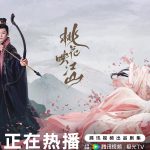 海外で『桃花映江山』が見られない？中国ドラマの地域制限を解除する方法