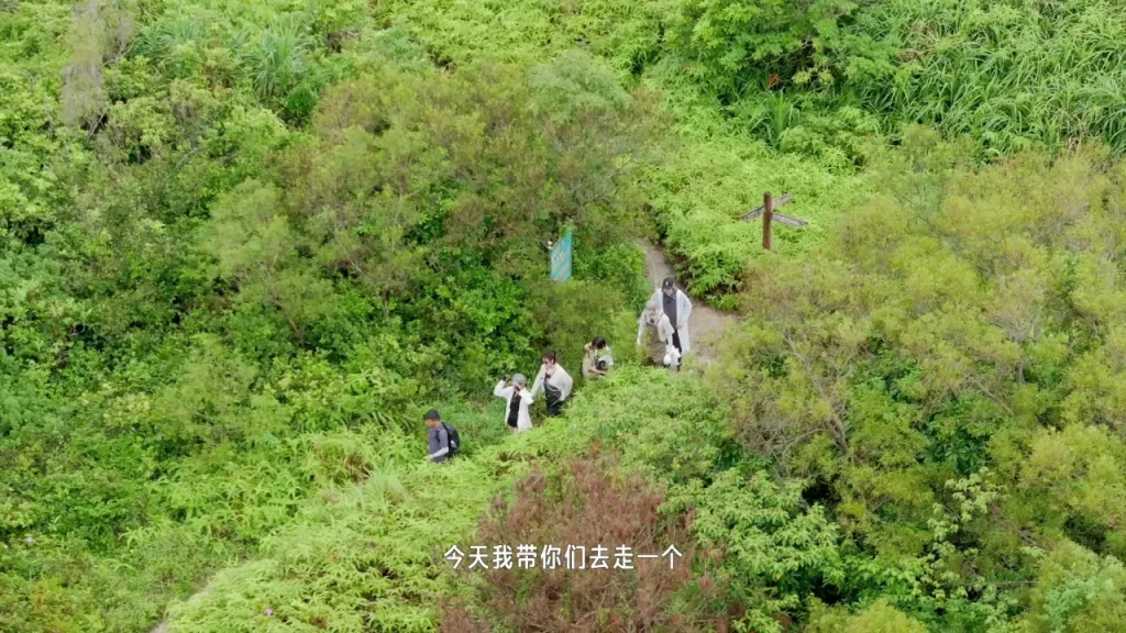 【3選1】①豪雨の中の海岸線ハイキング！魏大勋たちが遭遇したサプライズとは？ ②非日常体験！『凱徳号』帆船で挑む秘境海岸線の真実 ③予想外のハプニング続出？葉童＆林一が語る「あの日」の衝撃
