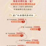 海外でも『子夜帰』を楽しむ方法！地域制限を解除する簡単ステップ