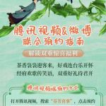 海外で『芬芳喜事』を見れない？たった3ステップで地域制限を解除する方法