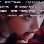海外在住で『子夜帰』が見れない…？友人から届いた猫妖バトルの興奮メッセージに、思わずVPN設定を確認した話