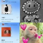 海外在住の友達から泣きつかれた…「QQ音楽で張芸興の新機能が使えない！」解決法を3日調べ尽くした結果