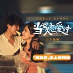 海外在住の友達から「日本のNetflixで『当男人恋爱时』見れない…」とメッセージが。私が教えた超簡単な方法