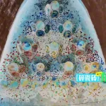 海外華人が『地球超新鮮』を見られない？3ステップで地域制限を解除する方法
