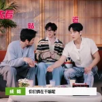 海外在住の友達から「日本のNetflixで中国ドラマが見られない！」と泣きつかれた私が、3日かけて見つけた超簡単解決法