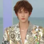 海外在住の華人がELLE風尚大典をリアルタイム視聴!地域制限で見られない焦燥感、私が解決した意外な方法