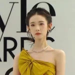 海外在住の華人が中国の動画を見られない?ELLEレッドカーペットで実感した「地域制限」の壁