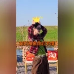 金晨の抽象ダンスが話題沸騰！『今すぐ出発』で見せた衝撃パフォーマンスに視聴者騒然