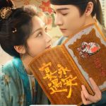 海外在住の中国人が必見！中国のドラマが見れない？『宴遇永安』から学ぶ地域制限の乗り越え方