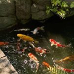 心の浄化を求める現代人に捧ぐ：音鉢と溪流の癒しの世界