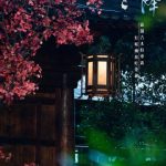 海外で『表妹万福』が見れない！？日本在住の私が実践した「地域制限解除」3ステップ