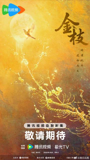 海外華人が中国のドラマ『金枝』を見られない?3つの方法で地域制限を簡単に解除!