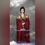 海外在住の華人が中国の動画配信を視聴するには？地域制限を突破する3つの方法