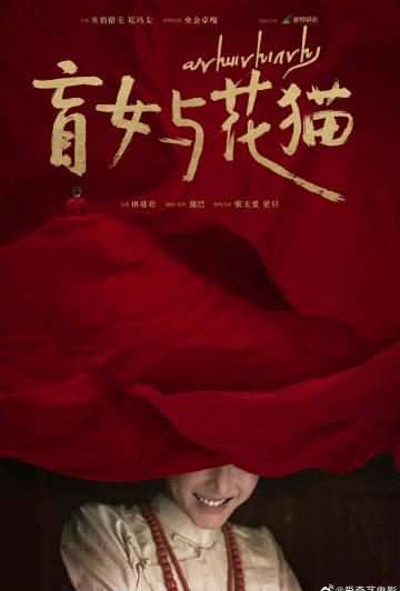 海外在住の中国人必見!『ブラインドガールと花猫』を見逃すな、地域制限を突破する3つのコツ