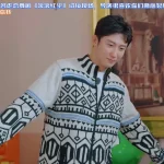 日本在住の華人が中国の動画を見られない？黄景瑜の「床ドル演技」に学ぶ、地域制限の壁を越える方法