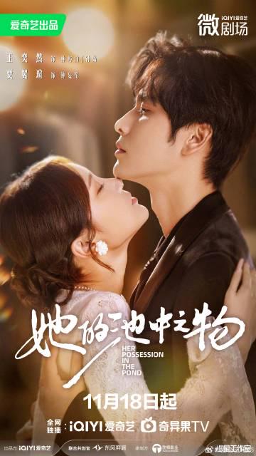 海外在住の華人が『她的池中之物』を視聴できない？地域制限を突破する3つの方法を大公開！