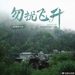 海外在住の友達から『勿扰飞升』見られないって泣きつかれた！地域制限を突破する裏ワザ教えます