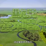 丹頂鶴が舞う！夕陽に染まる斉斉哈爾の絶景、あなたはもう見た？