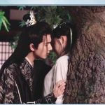 海外在住の中国人が中国のドラマを見られない?『勿扰飞升』の裏側から見る「地域制限解除」のヒント