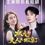 【3選】「状元郎夫人又掀桌了」が話題沸騰！豪快ヒロインの逆襲劇に視聴者熱狂