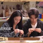 海外在住の中国人が中国のドラマを見られない？『梟起青壤』の裏側に隠されたある真実