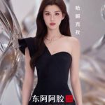 海外で中国のドラマが見れない？たった3分で「地域制限解除」できる裏ワザを教えます