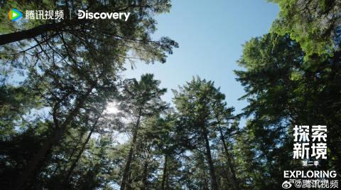 【3選】王一博、米国で崖登りに挑戦!その素顔と「本当の自分」とは?