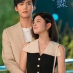 海外で『狙撃蝴蝶』が見れない?中国ドラマ視聴制限を突破する完全ガイド