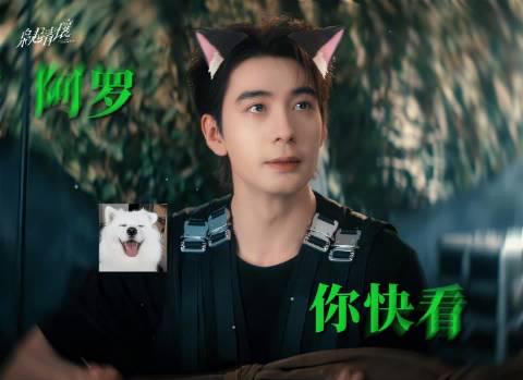 海外在住の中国人必見!中国のドラマ・音楽が「地域制限」で見られない?その原因と解決法を徹底解説